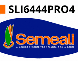 GIF by semealisementes