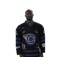 Hockeysurglace Sticker by Corsaires de Nantes