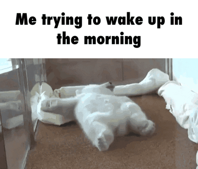 waking up in the morning gif