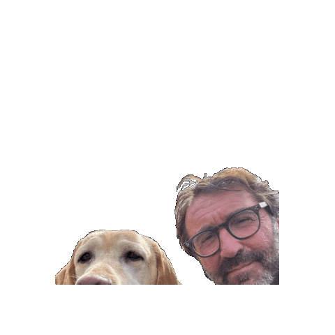 baomiaovillage Sticker