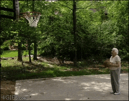 not in my house basketball GIF
