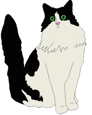 Shocked Tuxedo Cat Sticker