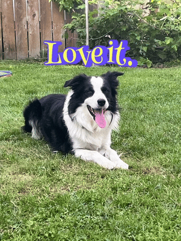 Love It GIF