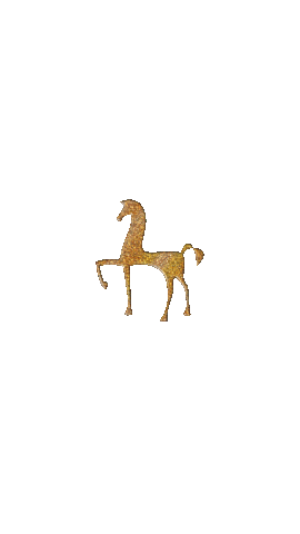 Crown Sticker by Equitaris