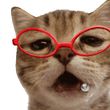 Hungry Cat Sticker