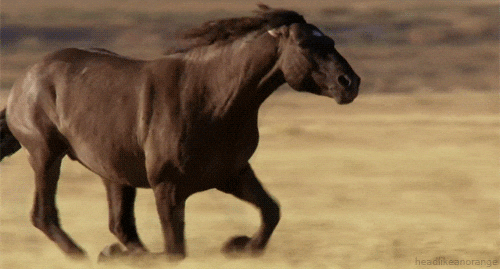 giphy.gif?cid=790b7611ef98d061756ea21f43cd70fdd097c8d7f65c5791&rid=giphy.gif