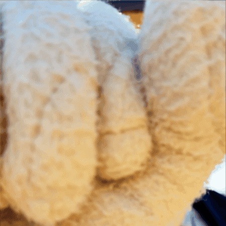 Mascot Hello GIF by Washburn University