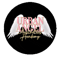Urban Angel Aesthetics Sticker