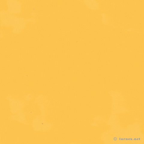GIF by Lurnex