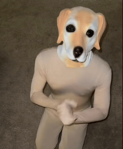 Instagram Meme GIF