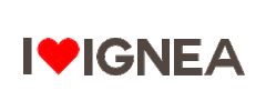 IGNEA Handmade Desing Sticker