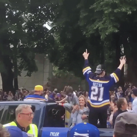 St Louis Blues GIF by Storyful