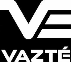 VAZTE INGENIERIA GIF