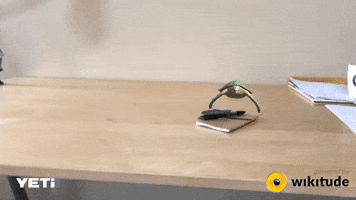 paulamonteiro-b9e0  GIF
