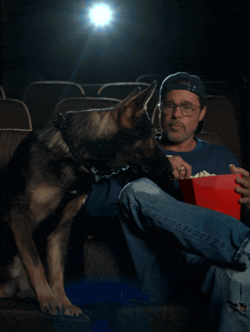 Brad Pitt GIF by Heart of the Beast
