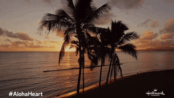 Hawaii Sunset GIF by Hallmark Channel