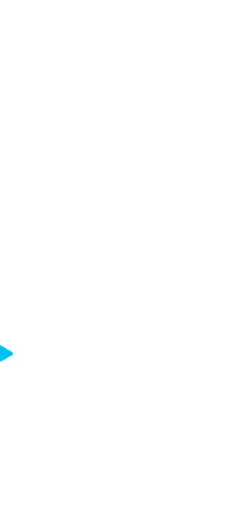Cisco Partners Sticker