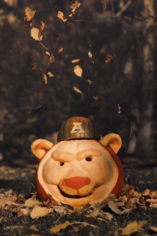 Golden Bears Halloween GIF by UAlberta Business