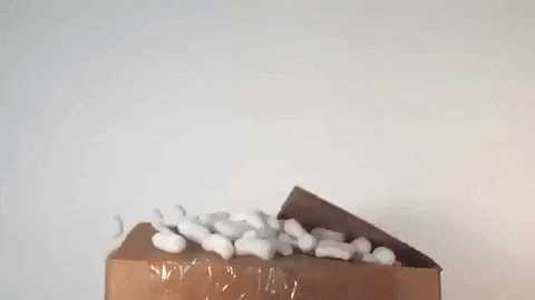 Image result for gif breaking out the box gif