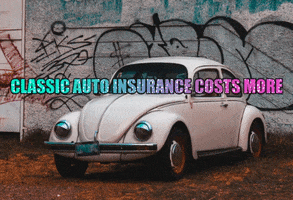 Insurance GIF