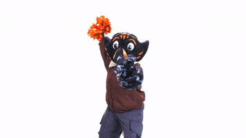 Cheer Mascots GIF by utmartin