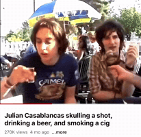 The Strokes Dog GIF