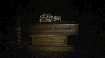 Found Footage Vhs GIF by Raven Banner Entertainment