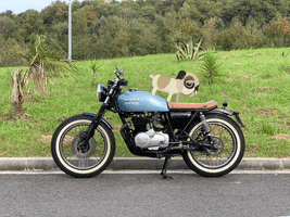 Cafe Racer SSpirit GIF