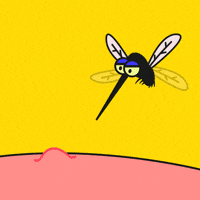 Kill Mosquitoes GIFs - Find & Share on GIPHY