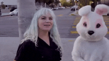 Music Video Rabbit GIF by The Dollyrots