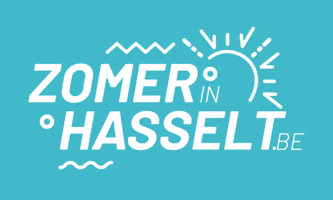 Stad Hasselt GIF