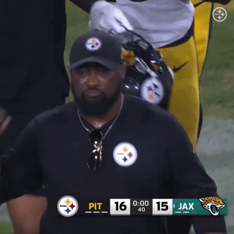 Lets Go Win GIF by Pittsburgh Steelers