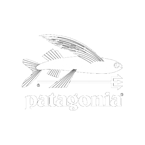 Patagonia Sticker