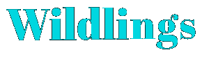 Yacht Week Wildling Sticker by Sultan Ventures