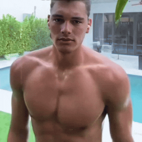 Boscobears GIF by Braken