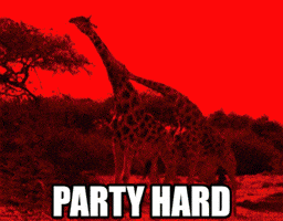 Party Hard GIF
