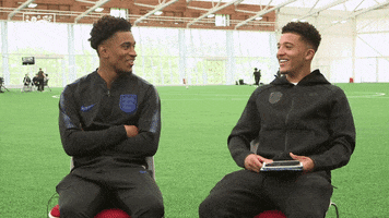 Three Lions Friends GIF by England
