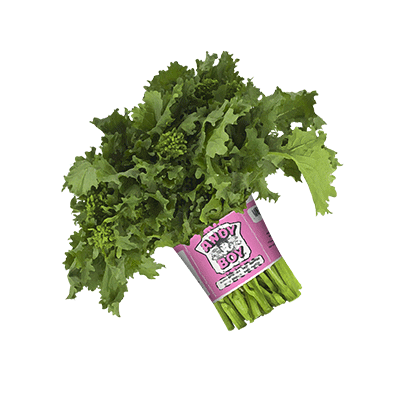 Broccoli Rabe Vegetables Sticker