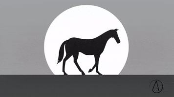 pu animation horse walk cycle GIF