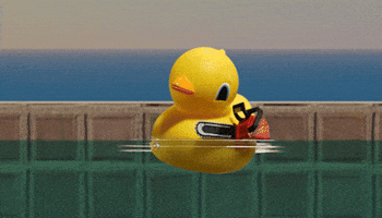 Duck GIF