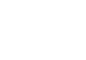 1H1F Sticker