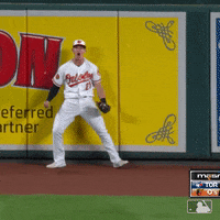 Go-orioles GIFs - Get the best GIF on GIPHY