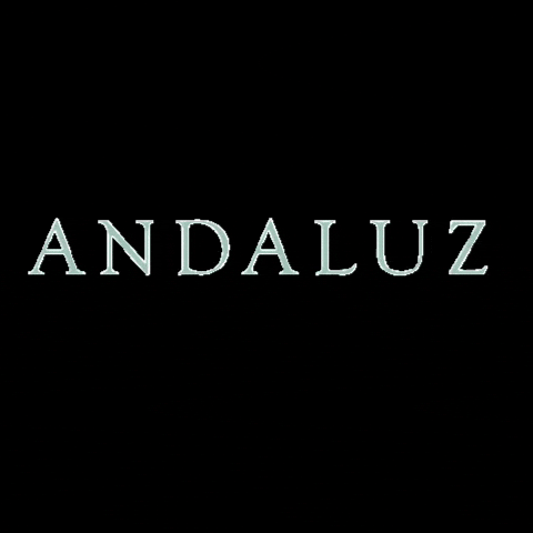 Andaluz Viagens GIF