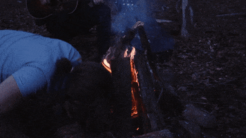 200.gif?cid=fc005b0876f955c083b8ec162703fdd215e85d70bd4650cb&rid=200.gif&ct=g