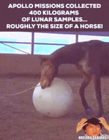 apollo horsing GIF by Space Foundation Discovery Center