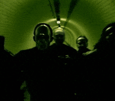 Suede GIF