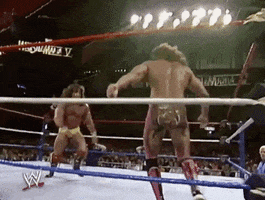 Ultimate Warrior Sport GIF by WWE