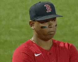 Boston Red Sox GIF