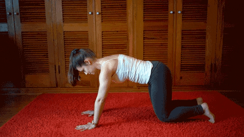 Pilates GIF - Find & Share on GIPHY