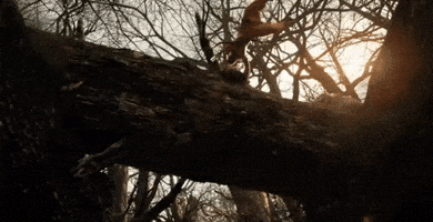 Ranbir Kapoor Ram GIF